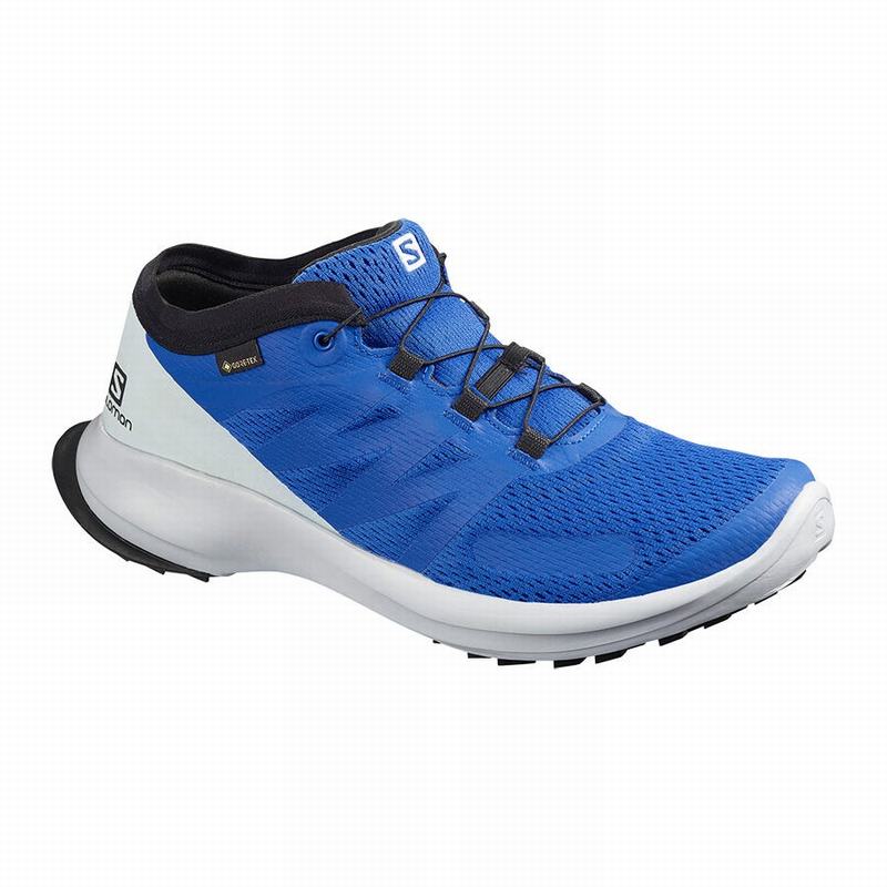 Zapatillas Trail Running Salomon Hombre Azules - Salomon Argentina SENSE FLOW GTX ,685273-IPD